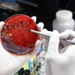 Lekooporność bakterii CRP
